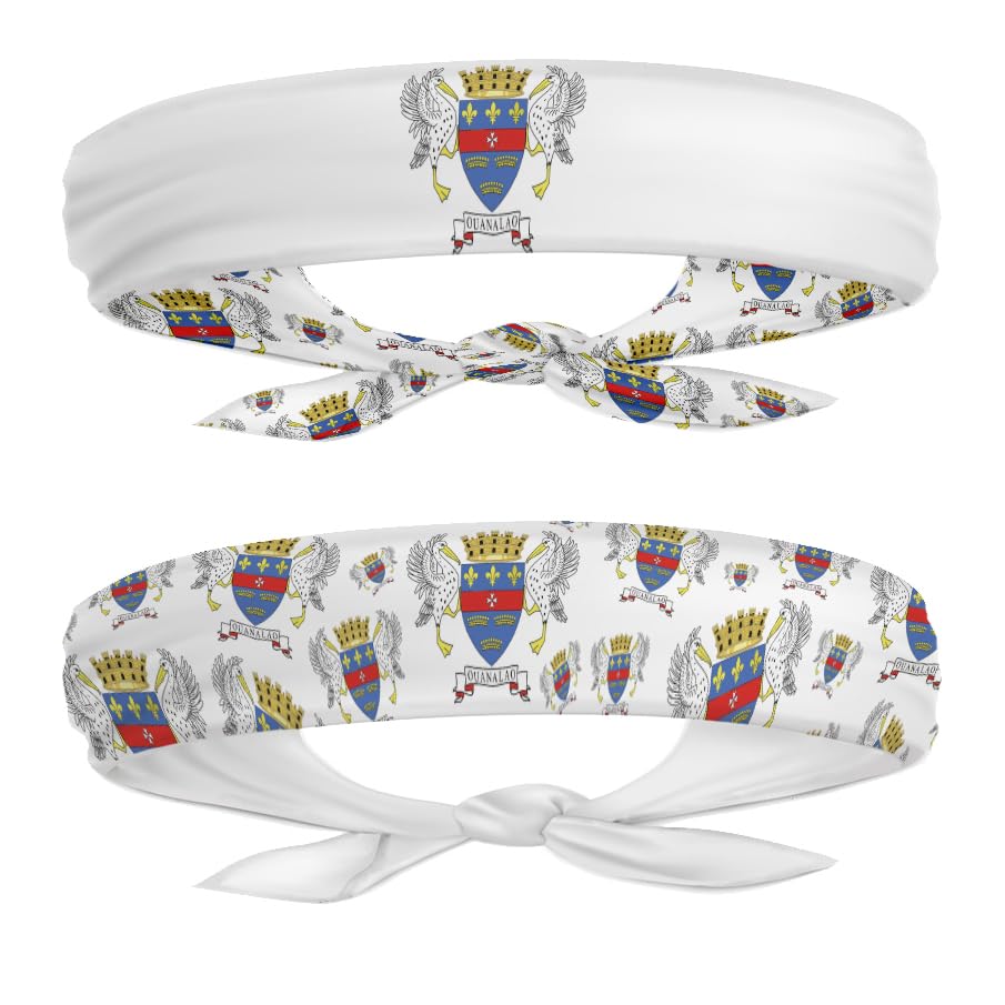 EVERYTHING CROPOVER St Barts Flag Headband for Carnival, Fitness | Mens Womens Tieback Bandana Sweatband Thigh Leg Garter