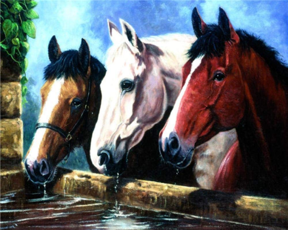 Peinture par numéro cheval, le cadeau peint à la main idéal