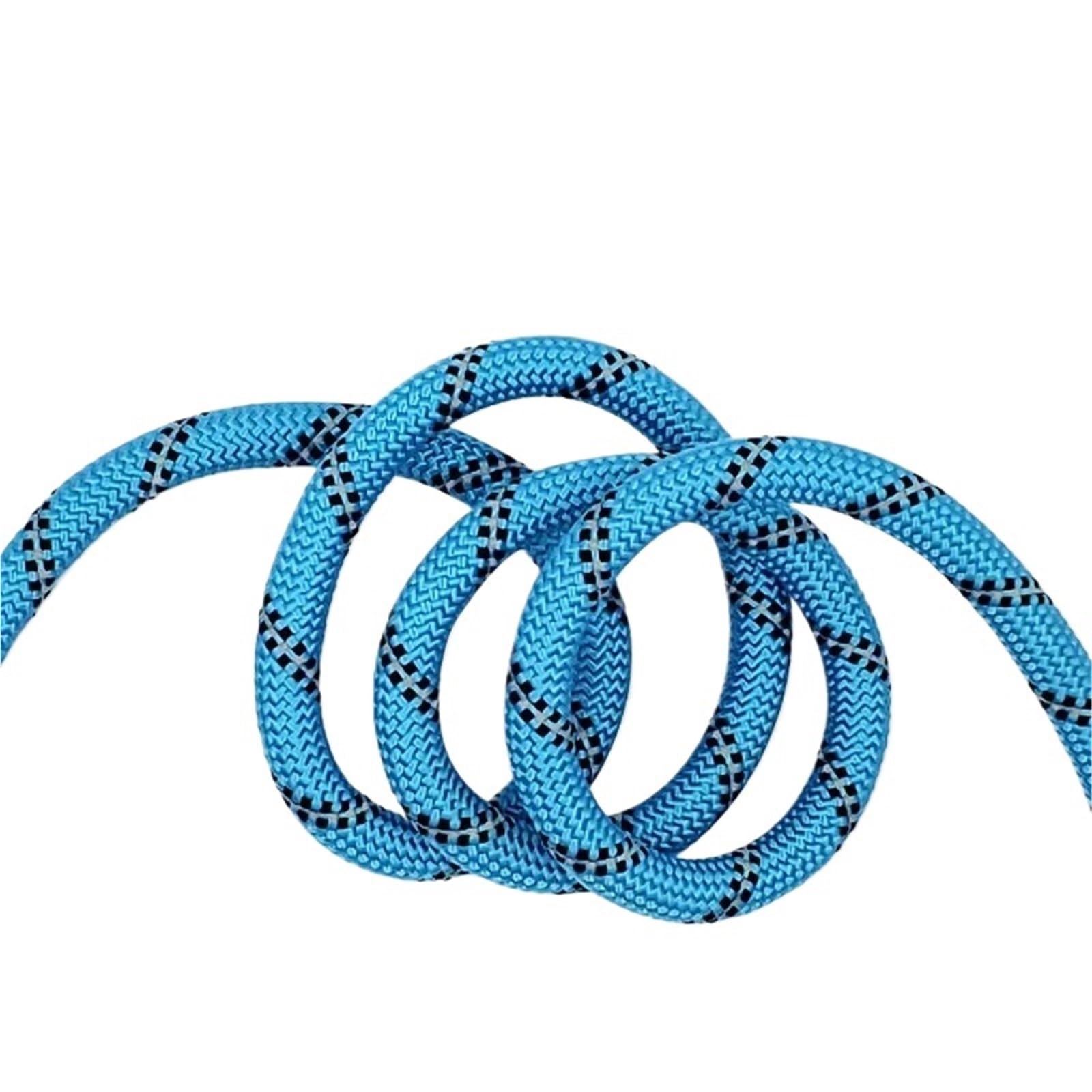 Correa Perro para Correr Cadena de tracción de Nailon for Perros pequeños y Grandes.(Black)