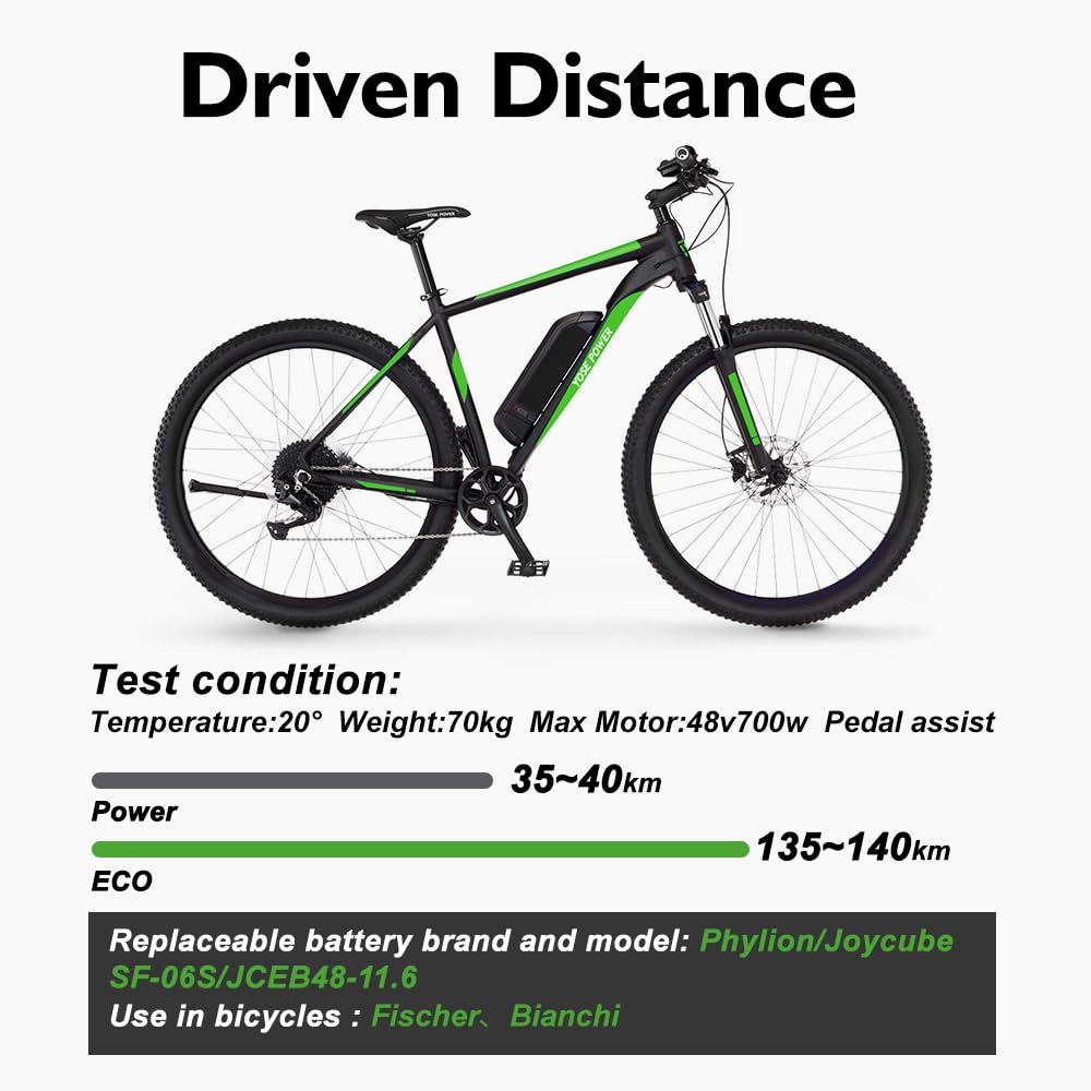 E-Bike 48V 11,6Ah Li-ion Batterie mit Ladegerät Phylion Akku SF-06S JCEB480-11.6 für 250W-800W E-Bikes Pedelecs von Fischer (48V 11,6Ah)
