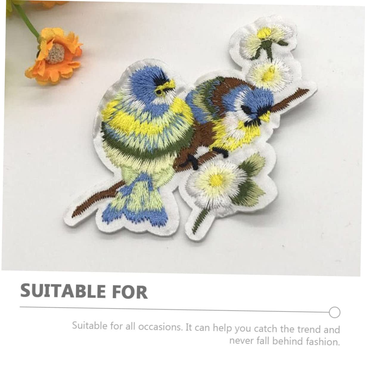 GALPADA 60stücke Teiliges Vogel-patches Zum Aufnähen Dekorative Applikationen Für Kleidung Bastelbedarf Für Jacken Und Schuhe Leicht Anzubringen Für Kreative Projekte