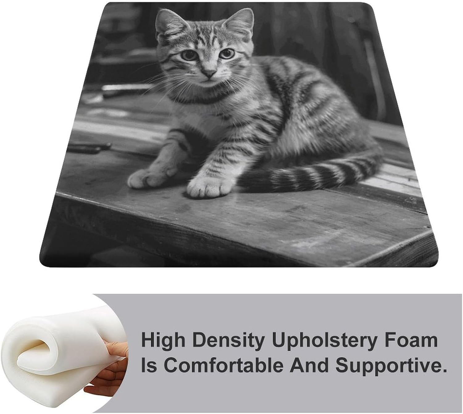 Cat on Wooden Table Chair Cushion Floor Pillow Stool Cushion | Cushions with Removable Cover with Square Memory for for Chair Living Room Balcony Office Sofa,13.8*15*1.2 Inch