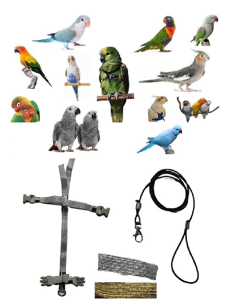 Arnés para loros anti tirones con relleno protector negro de 3 mm contra rozaduras de plumas