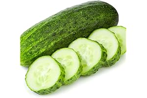 Set of 2 Live Green Cucumber Plants for Planting in 4-Inch Pots