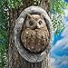 Design Toscano Knothole Owl Tree Sculpture