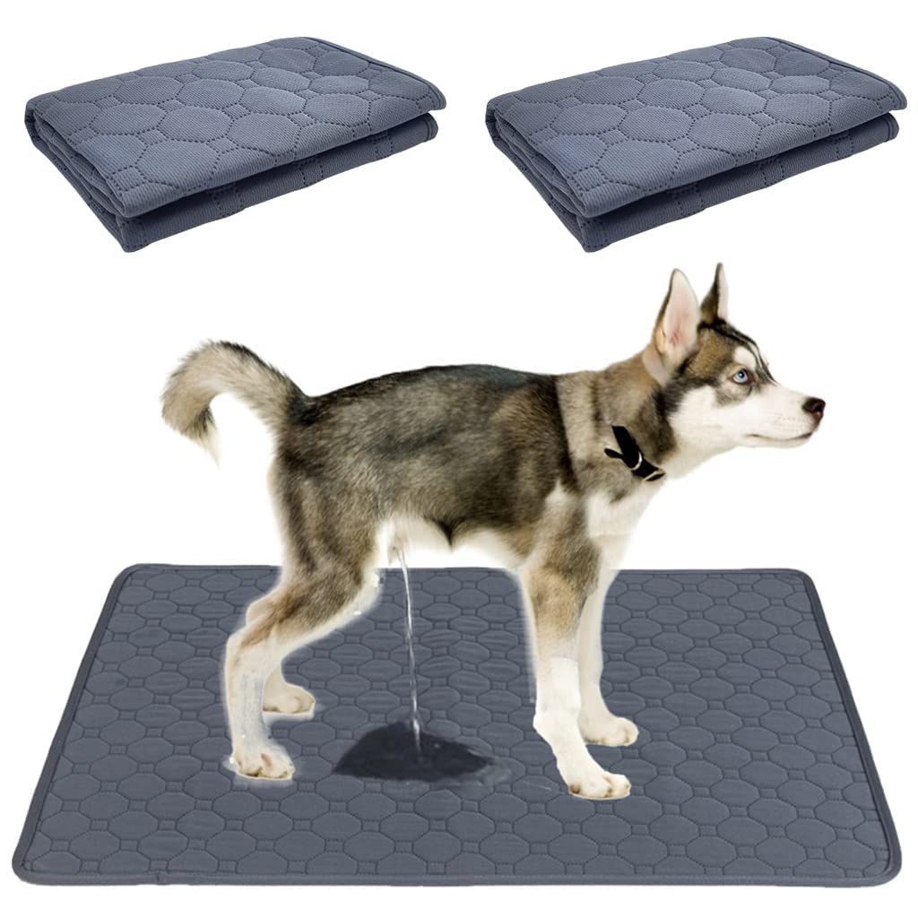 Picckola International® Washable Training Pads for Dogs | Non Slip Pads for Puppies (60X90 cm) | Reusable Pads| Reusable Training Pads for Puppies (Set of 2) (B0C6L2NLWK) Amazon Price History, Amazon Price Tracker