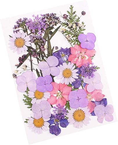 Aunifun Flores secas prensadas reales, flores secas naturales surtidas margaritas coloridas para manualidades, moldes de resina de flores (rosa)