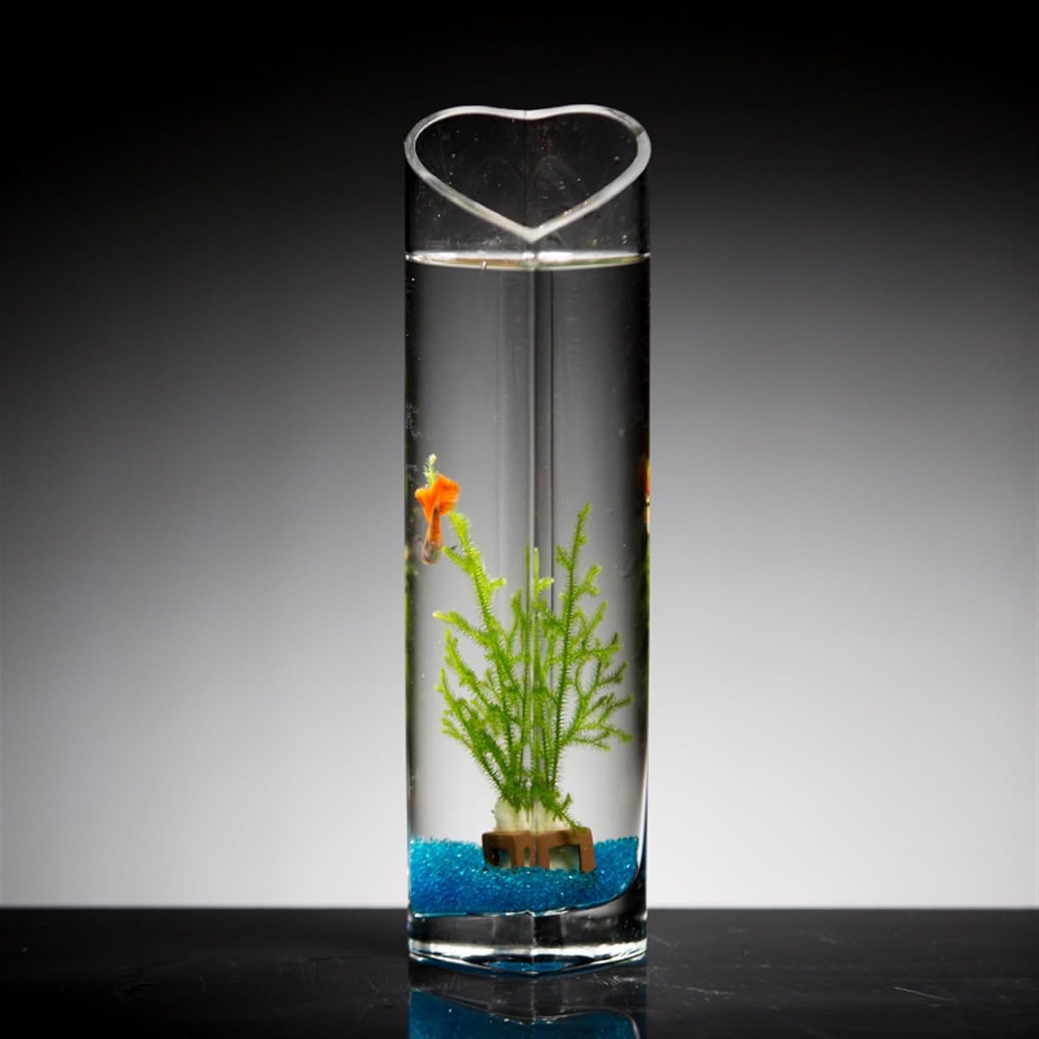 Fish Tank Fish Tank Living Room Small Glass Goldfish Aquarium Desktop Mini Aquarium Romantic Creative Heart-Shaped Aquarium Fighting Fish Aquarium Aquarium(Large)
