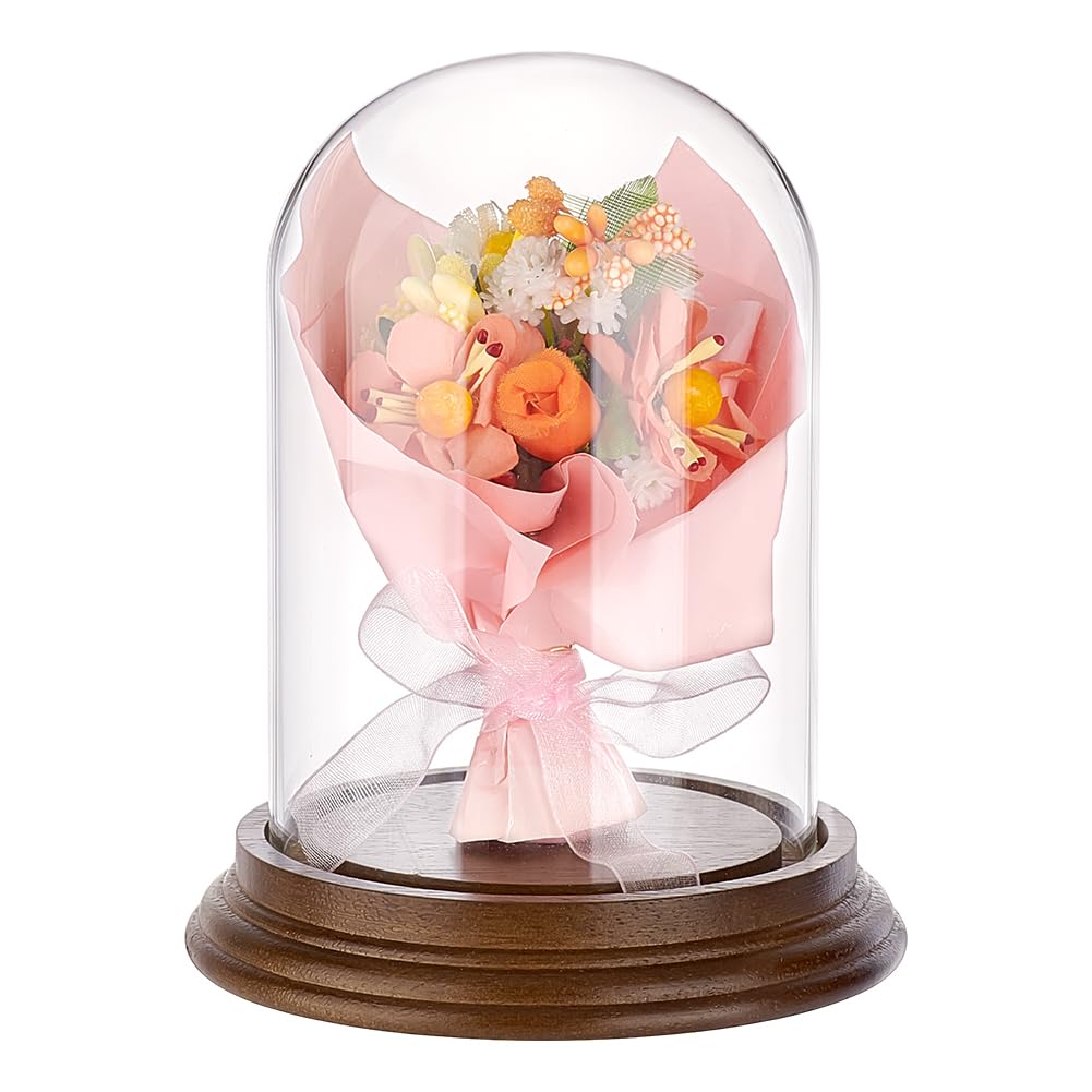Cloche en verre PH PandaHall anti-poussière pour préserver vos plantes