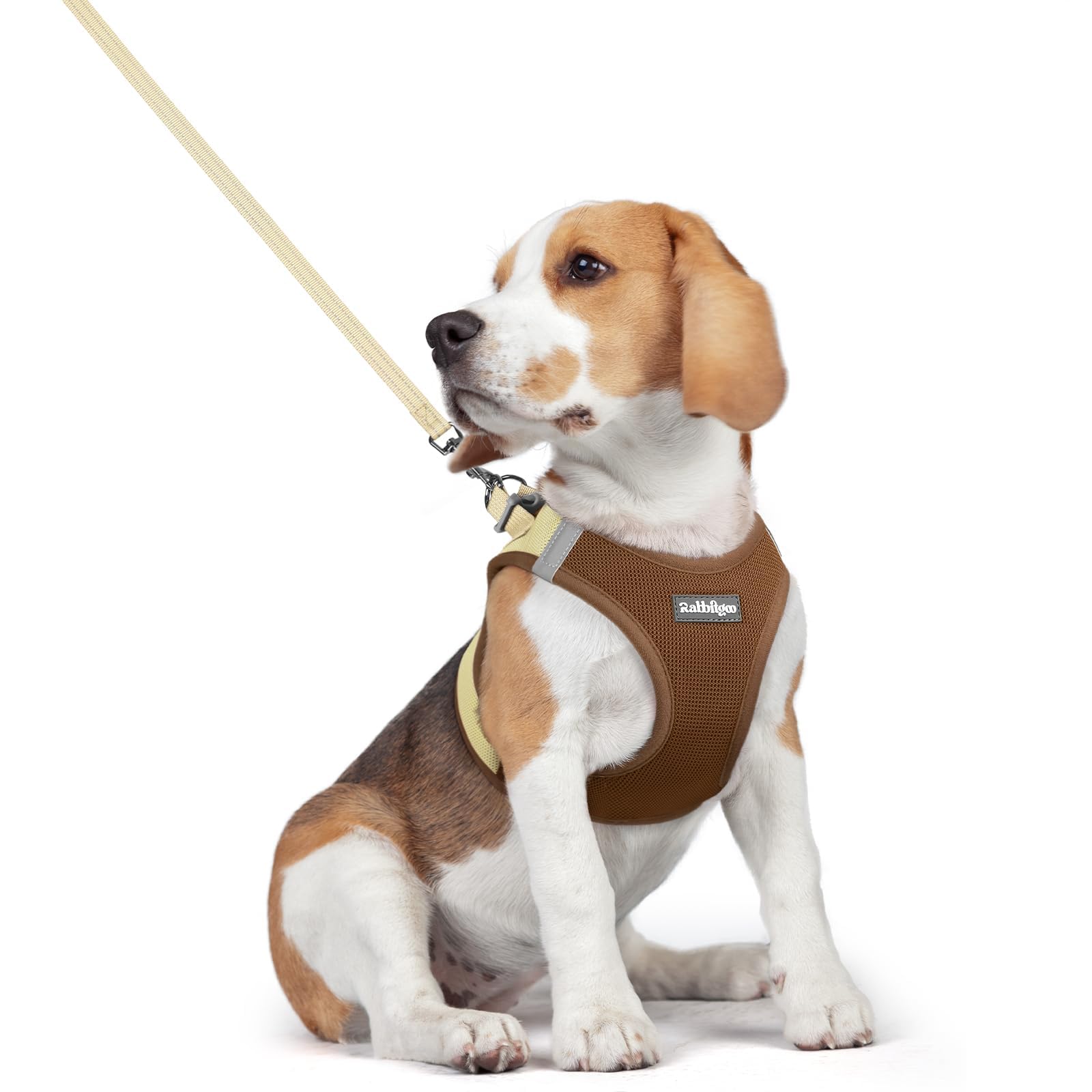 rabbitgoo Dog Harness Medium Sized and Leash Set, Step-in Puppy Pet Vest