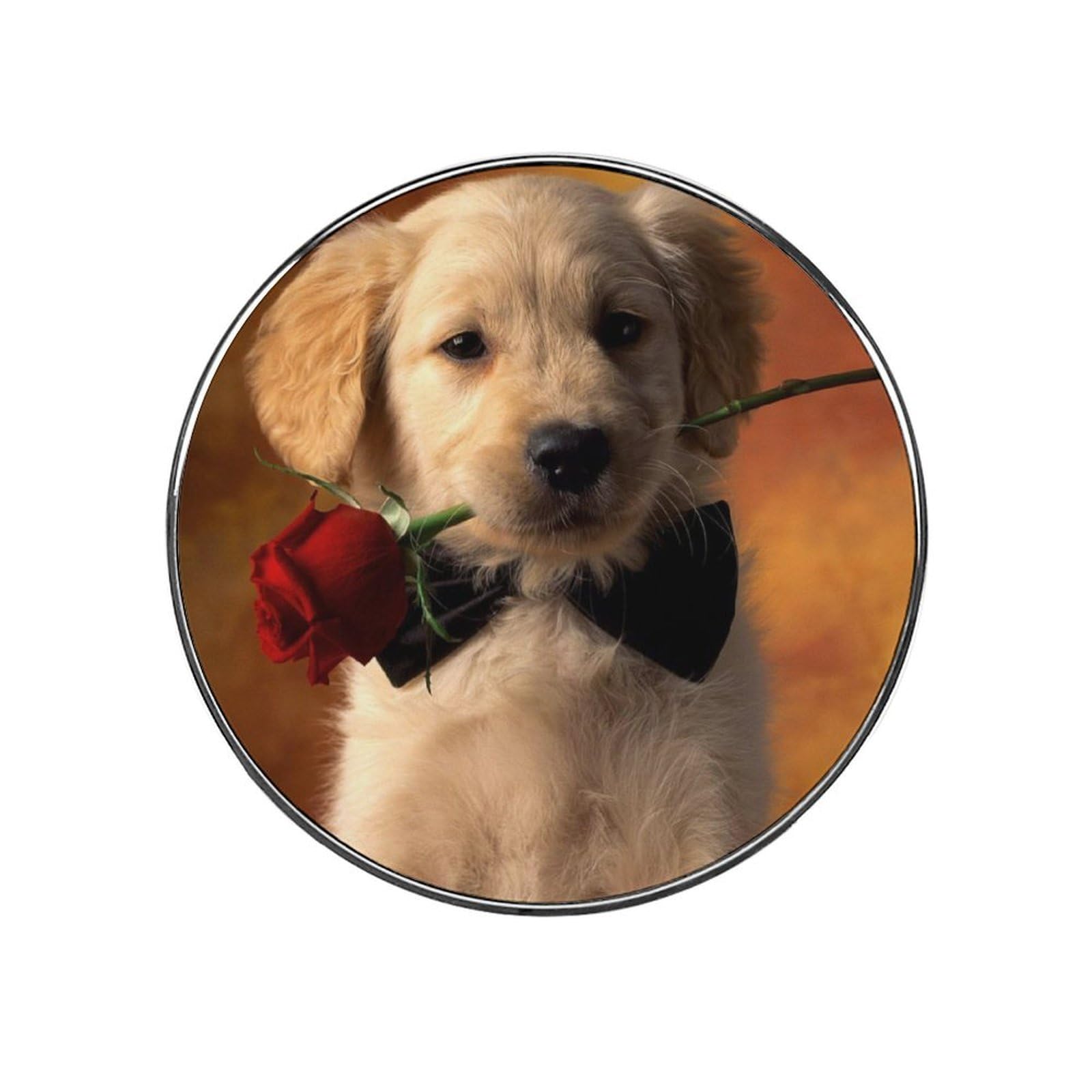 Golden Retriever Dog Alloy Fridge Magnet For Office Cabinet Refrigerator Whiteboard Photo