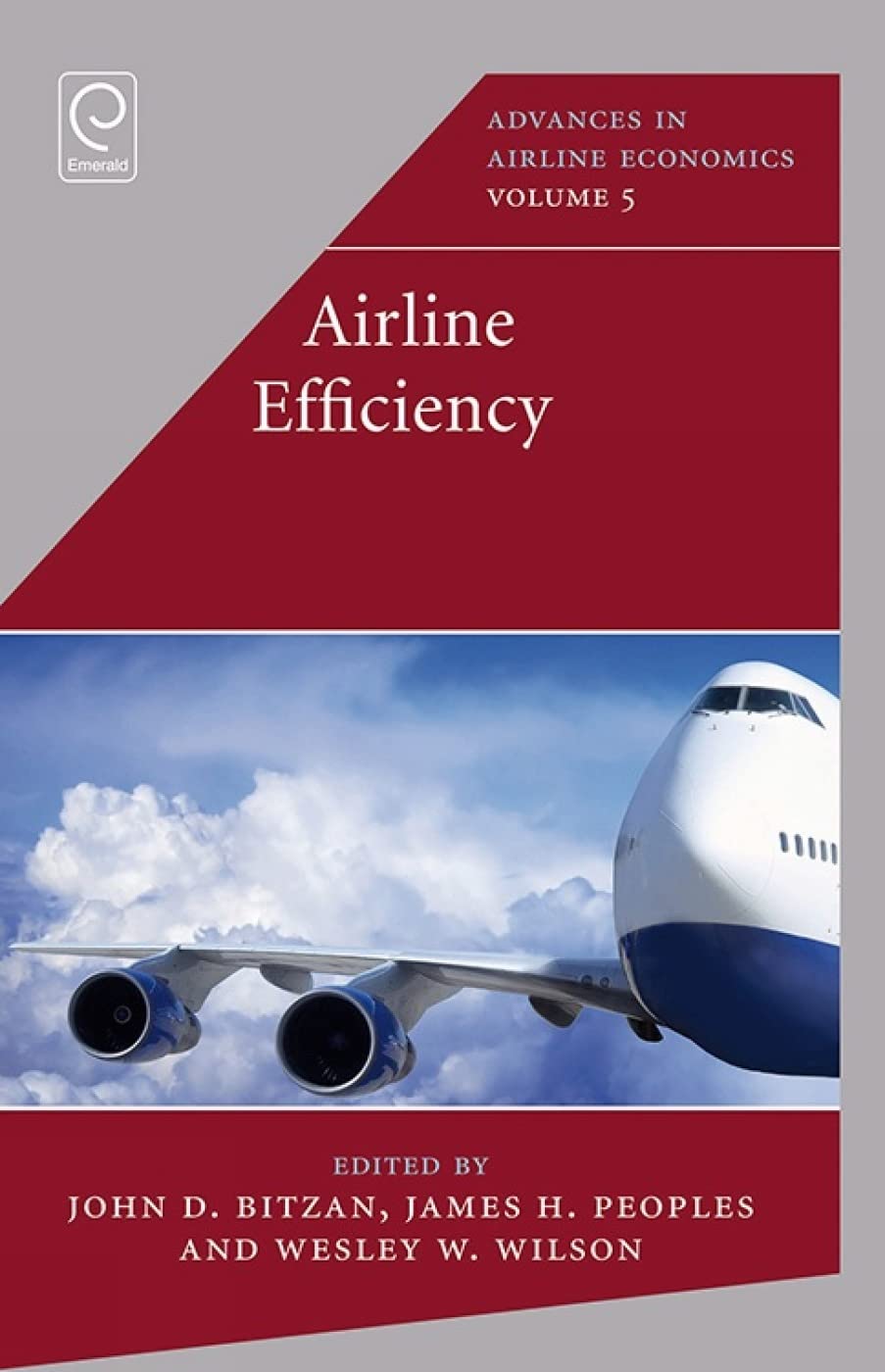 Buy Airline Efficiency: 5 (Advances in Airline Economics) — BookShops.in
