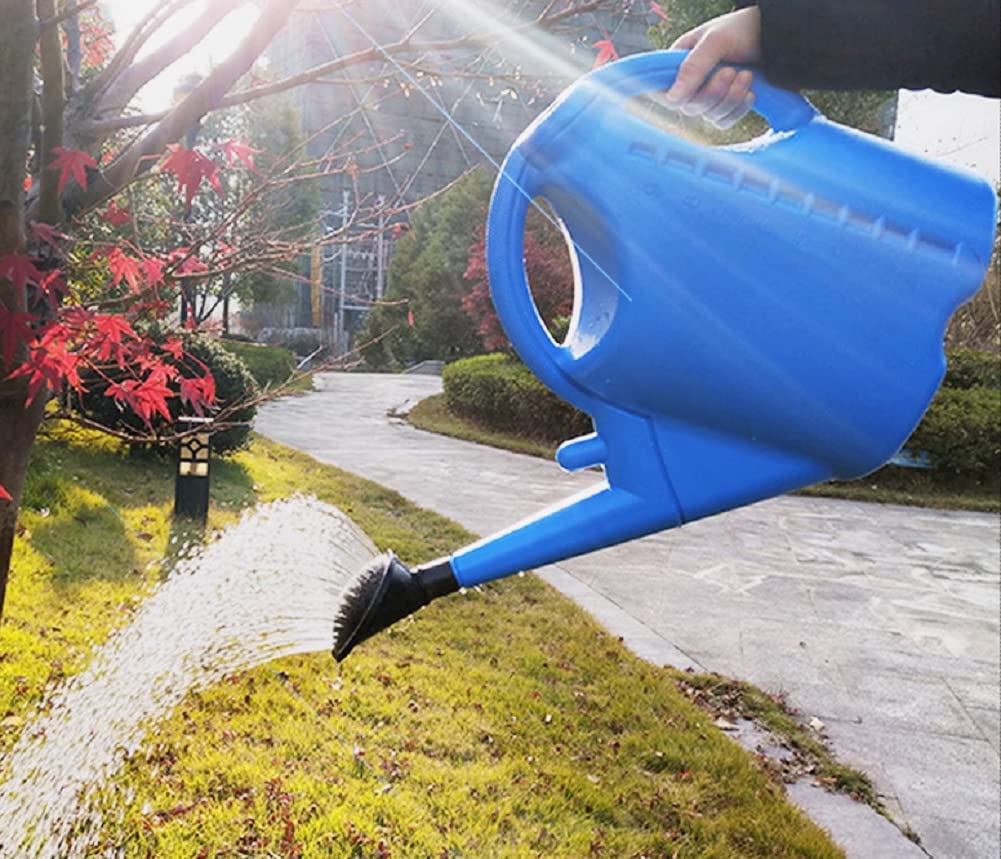 Regadera De Plastico - Regadera Pequeña Eva 5 litros - Regador De Plantas - Cabezal Efecto Lluvia - Regadera Plástico para Interiores,D