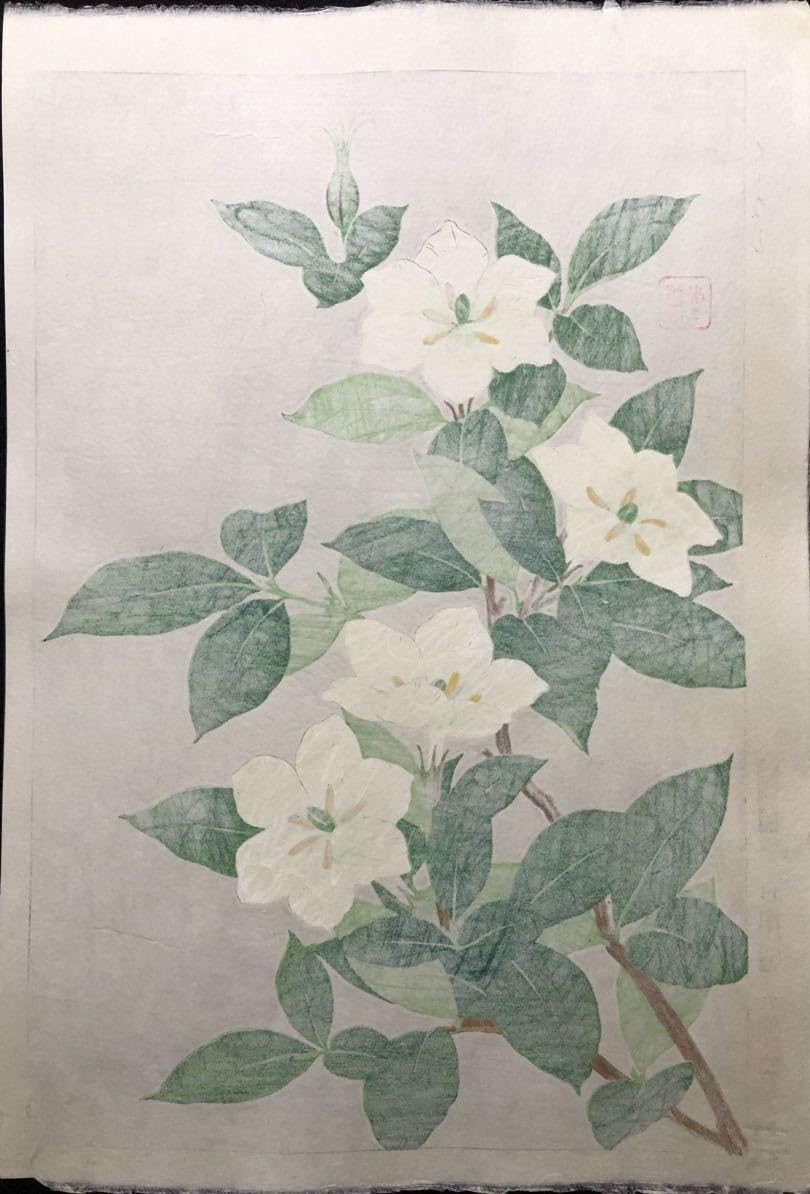 Amazon.co.jp: 木版画 河原崎奨堂くちなし芸艸堂版 大判 彫長島
