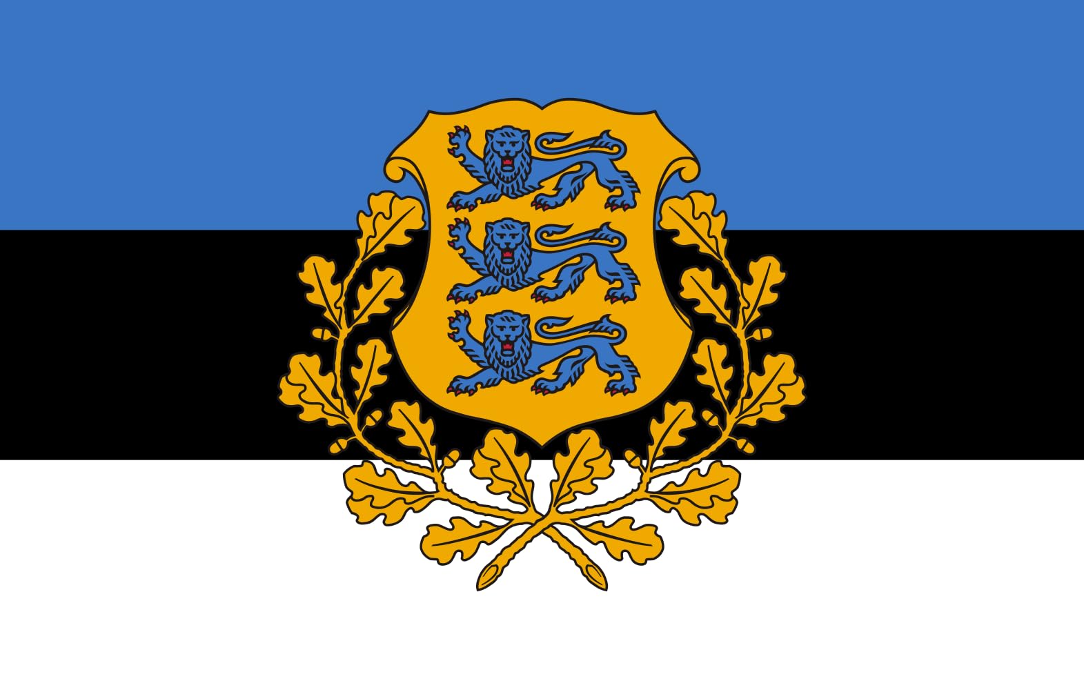 Drapeau XL President of Estonia pavillon extérieur paysage 2.16m²