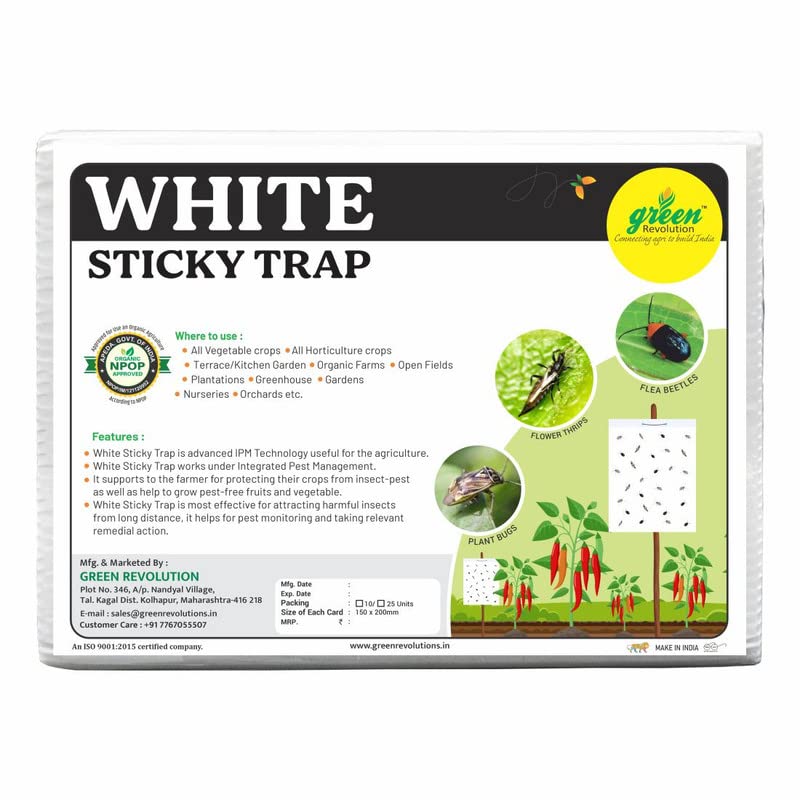 White Sticky Trap for Insect at Farm & Gardens to Control Black Thrips, Flower Thrips and Harmful Insects Pack of 4 (100 Pcs). (B0BR15QGQ6) Amazon Price History, Amazon Price Tracker