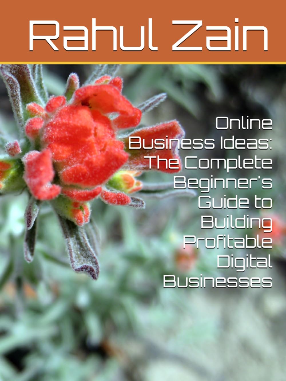 Online Business Ideas: The Complete Beginner's Guide to Building Profitable Digital Businesses