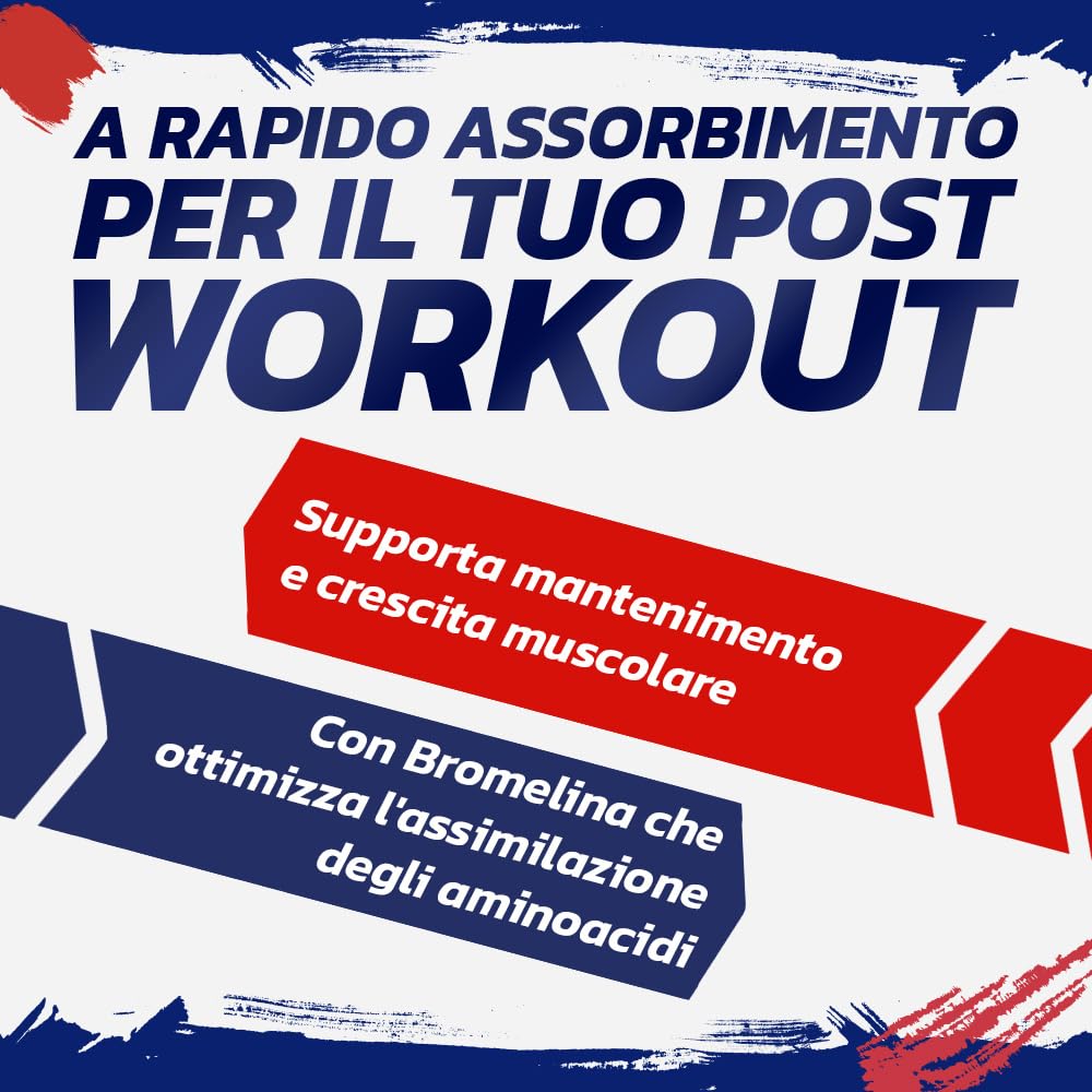 PROLABS EGG PROTEIN- Proteine in Polvere Isolate 100% Pure da Bianco d'Uovo non Denaturate con Bromelina per Alta Digeribilità e Rapido Assorbimento Post Workout, Integratore da Albume 750g Cioccolato