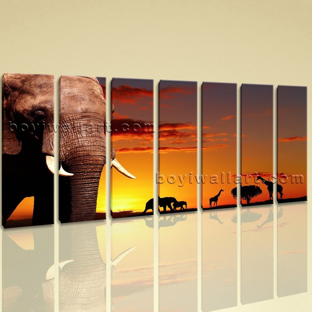 Extra Large African Elephant Sunset Animal Contemporary