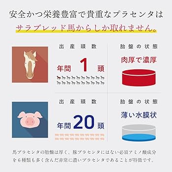 鰤さん専用 511u8oKkJjL.jpg_BO30,255,255,