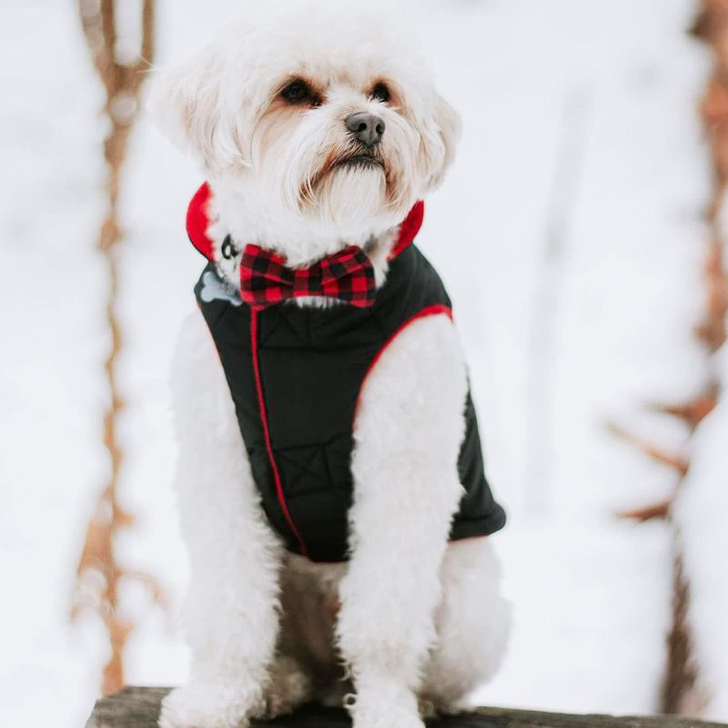 Gooby - Sportweste mit Fleece gefüttert, für kleine Hunde, Kaltwetterjacke, Mantel mit reflektierendem Futter, schwarz, Größe XS