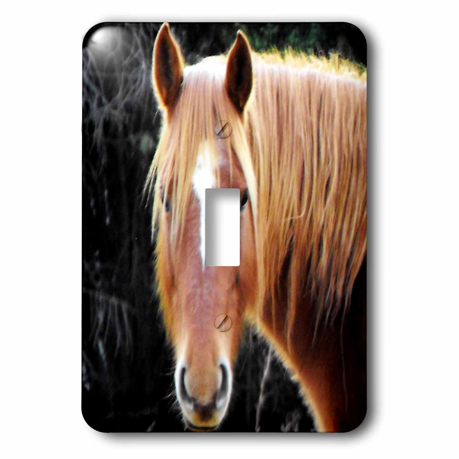 Interrupteur tête de cheval marron 3dRose LSP_51785_1 pour décoration murale