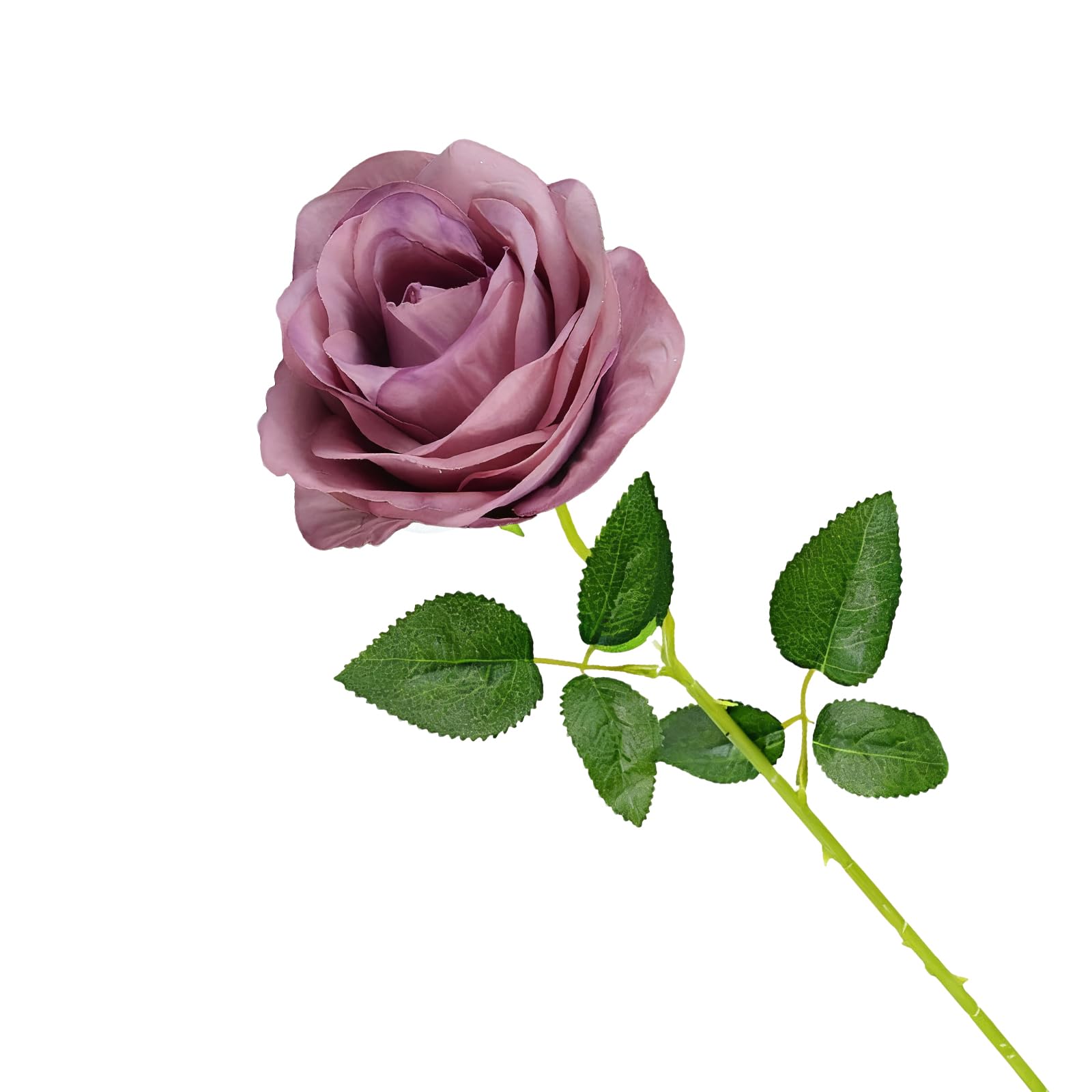 Cosswe Künstliche Seidenrose, künstliche Rose, ewige Blumen, einzelner Stiel als Geschenk verpackt Rosen für Hochzeitssträuße Jubiläen Partys Hotels Büro-Dekoration (Rauchgrau)