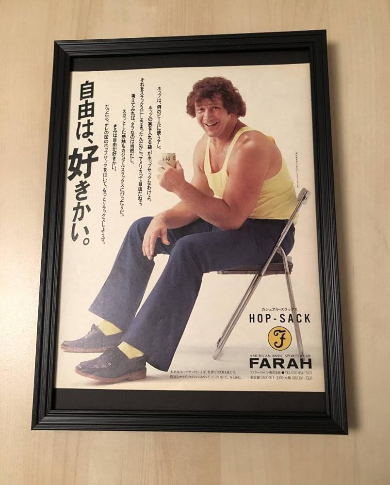 Amazon.co.jp: kj 額装品 テリーファンク ホップサック 広告 貴重写真