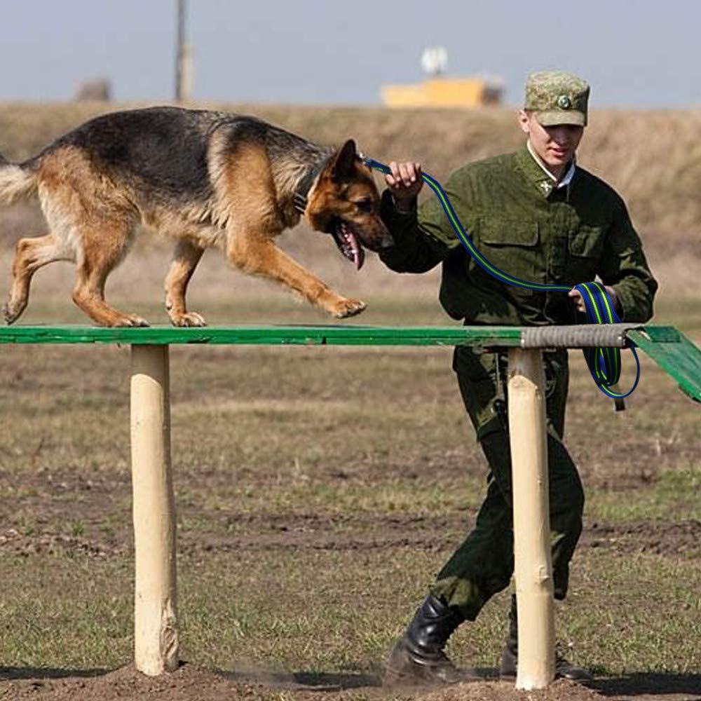 Haltbare Trainingsleine für Hunde, 3 m bis 15 m, lange Leine mit gepolstertem Griff, spezielles rutschfestes Design für Hunde jeder Größe, Blau, 5 m