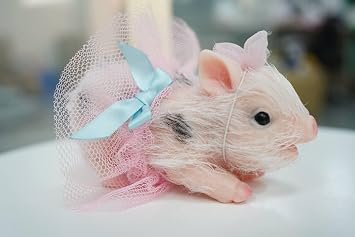 Newtotlove 5 Inch Cute Full Body Silicone Piglet,Lifelike Piglet Reborn Baby Piglet- Decompression Toys
