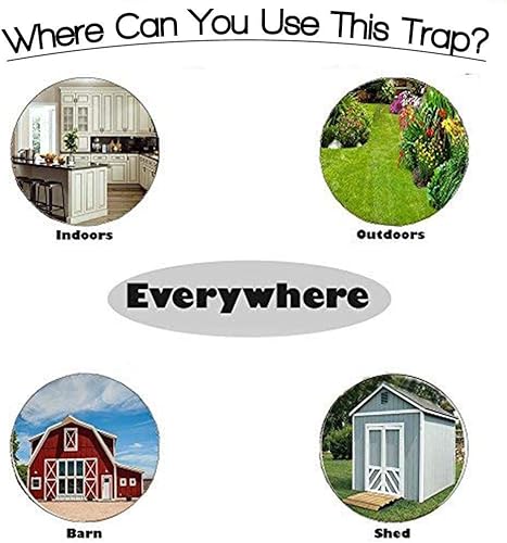 Miniatura 5 de RinneTraps - Paquete de 2 trampas para ratones Walk The Plank Trampa para ratones de cubo Mini Flip N Slide 2 rampas gratis incluidas - Multi