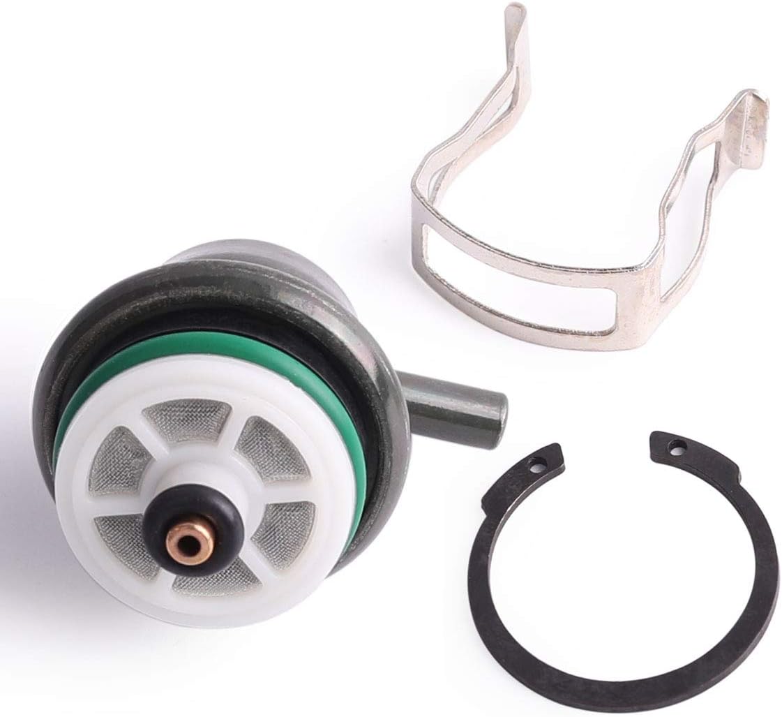 Fuel injection pressure regulator, compatible with Buick Cadillac Isuzu GMC Hummer Pontiac Oldsmobile FP10021 PR203 PR217 217-3073 : Automotive