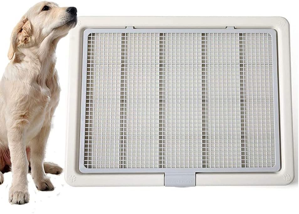 Amazon | 大型犬用トイレ幅ネットのトイレトレイ孵化式犬用トイレ