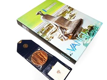 Amazon.co.jp: 1000個 ヴァンジ 銅 作品集 ジュリアーノヴァンジ