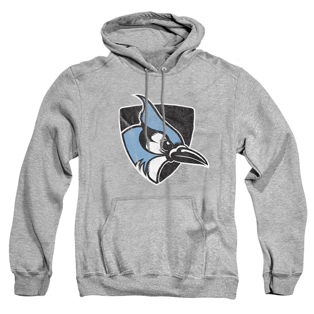 LOGOVISION Official Collegiate Distressed Primary Logo Adult Pullover Hoodie Collection — view 207