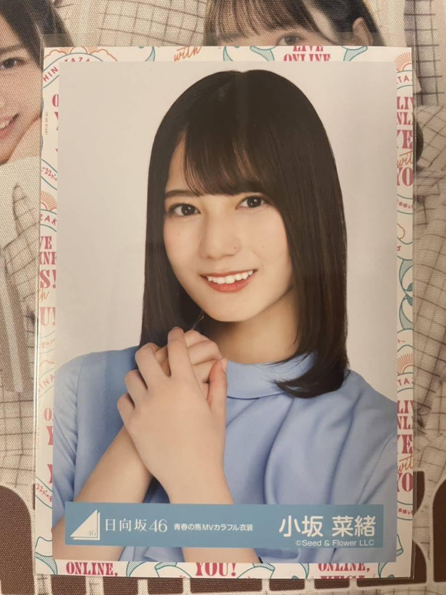 Amazon.co.jp: 日向坂46 小坂菜緒 青春の馬 MV カラフル ヨリ 生写真