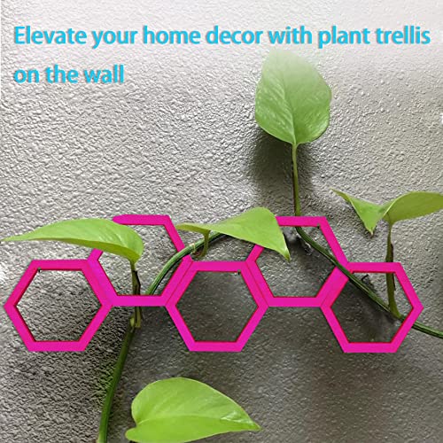Midrean 6Pcs Small Wooden Honeycomb Hanging Hoya Wall Trellis For Climbing Plants Indoor,Plant Support Expandable For Monstera Pothos Vine Ivy Pots Garden Trellis For Climbing Plants(2 Sizes) #TOP3