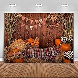 Mocsicka Fall Harvest Backdrop...