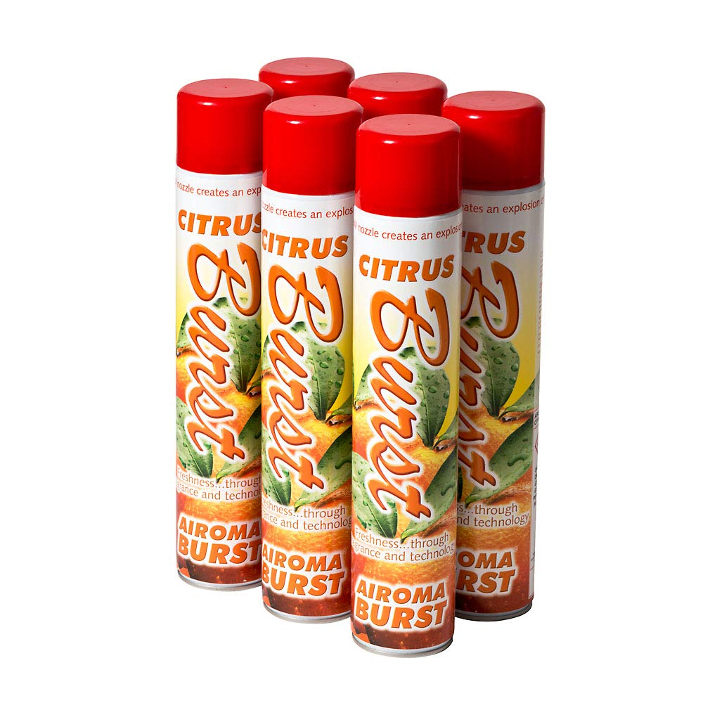 AIROMA BURST Sprühdose Citrus 750Ml