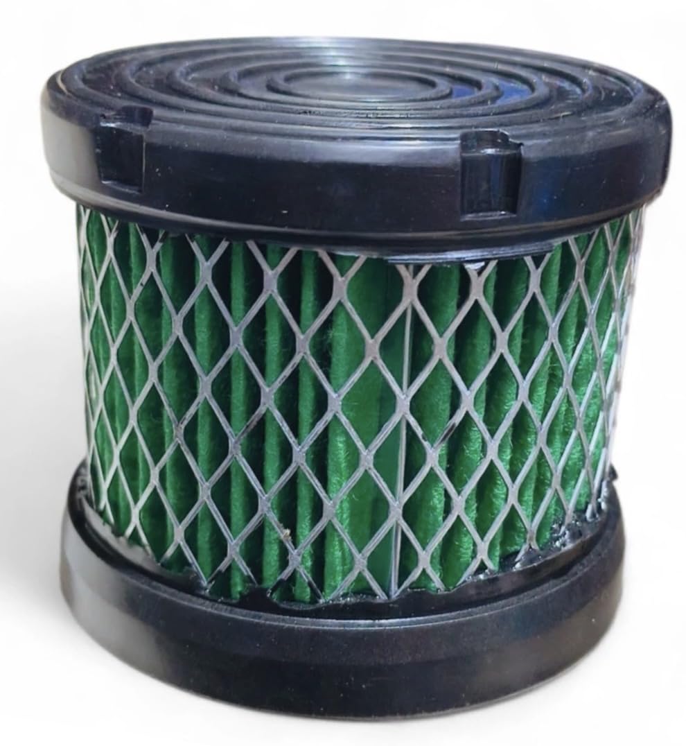 Air Filter compatible with Freedom CNG 125, Replacement Motorcycle Air Filter-picture-30