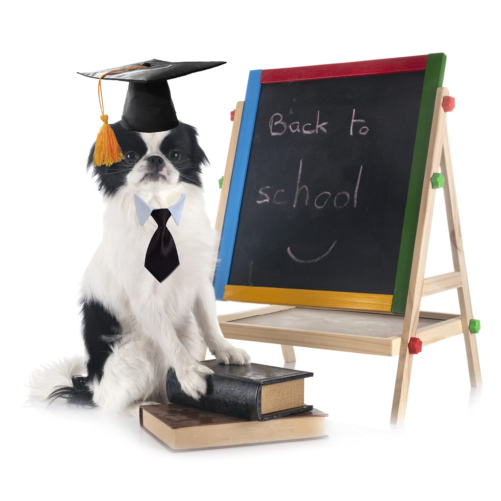 Amazon | HACRAHO 犬の卒業式の衣装, 2個 ネクタイ付きペット卒業