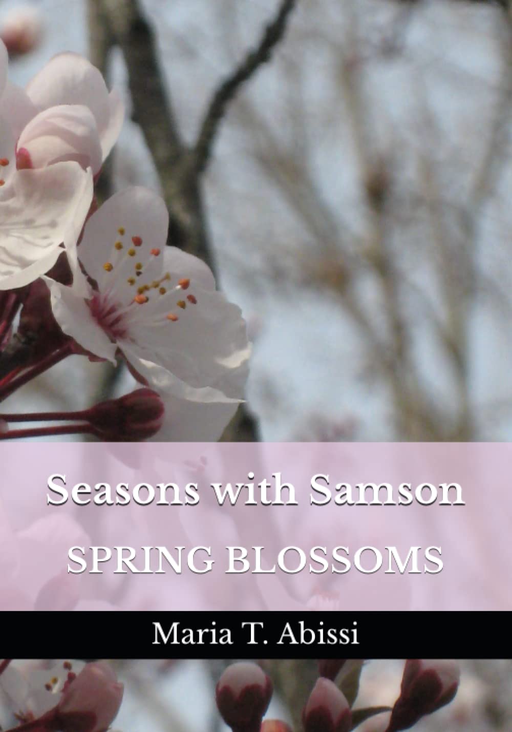 Seasons with Samson Spring Blossoms