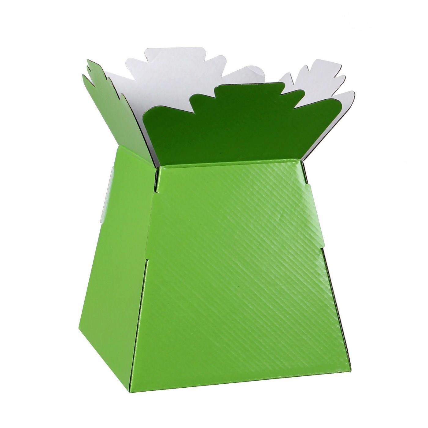 Hand-Tied Vase Florist Bouquet Boxes | Aqua Presentation & Transporter Boxes | Pack of 1 | Durable Flower & Plant Packaging | Glossy Lime Green