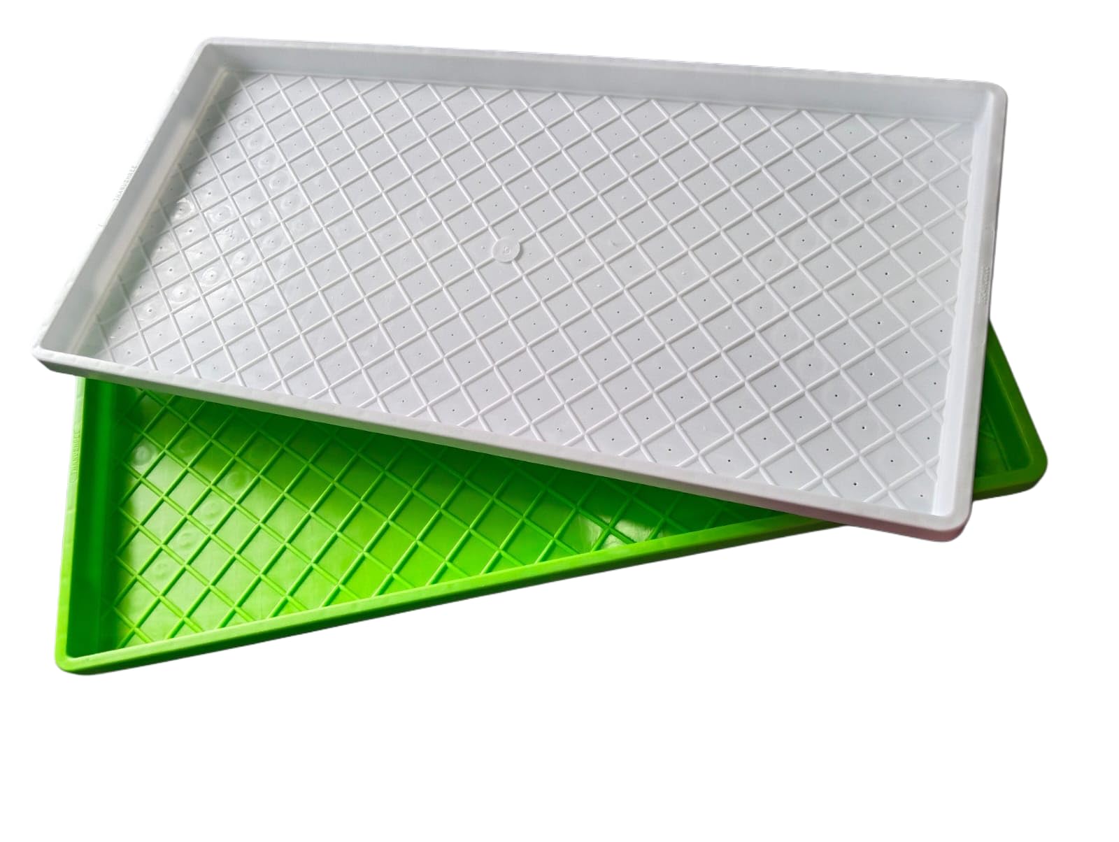 Food Grade Micro Green Trays (Virigin Plastic Trays) and Hydroponics Trays, Paddy and Wheat Grass Germination Purpose (Pack of 2 Nos)- (1 with Micro Drainholes and 1 Without Drainholes)-image-44