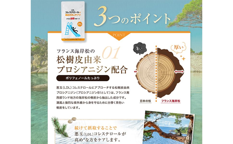 Amazon | LDLコレステロールが高めの方のサプリ プラス血管サポート