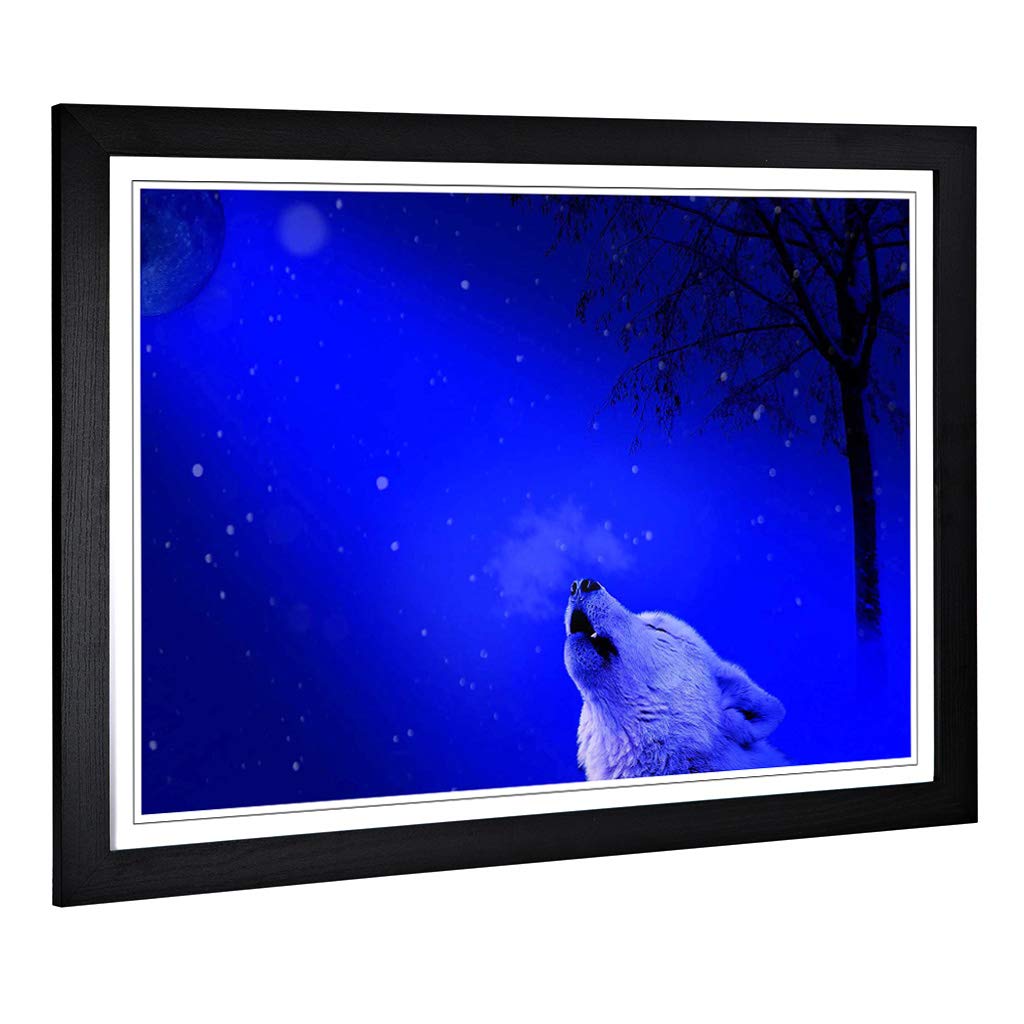 Big Box Art Framed Print of Howling White Wolf Design | Wall Art Picture | Home Decor for Kitchen, Living, Dining Room, Lounge, Bedroom, Hallway, Office, Black, A2 / 24.5x18 Inch / 62x45cm