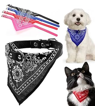 ぶんちゃん、ブルーハイビスカス柄、わんちゃん猫ちゃん用襟付き首輪 Amazon | ペット首輪 猫首輪 犬首輪 猫 犬 首輪 スカーフ