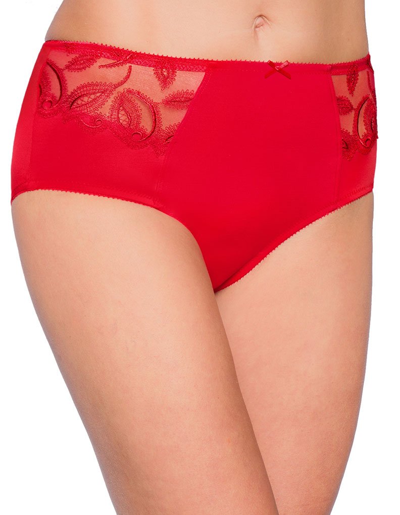 213208 Choice Waist Briefs