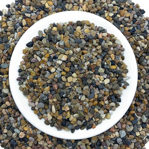 SIDONG 10LB Natural Aquarium Gravel, Small River Rocks for Fish Tank, Garden & Vase Decor - 1/16 Inch Pea Gravel, 2-4mm Polished Stones for Landscaping, Potted Plants, Terrarium