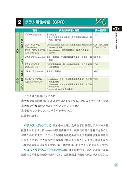 まとめ抗菌薬 表とリストで一覧・比較できる、特徴と使い方
